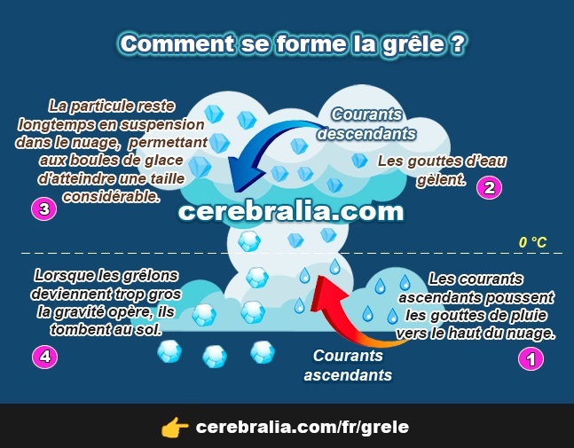 COMMENT SE FORME LA GRÊLE ? 】 ️
